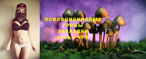 амф Богородск