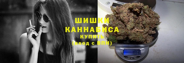 дмт Богородицк