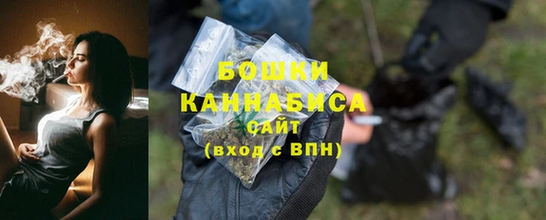 метадон Богданович