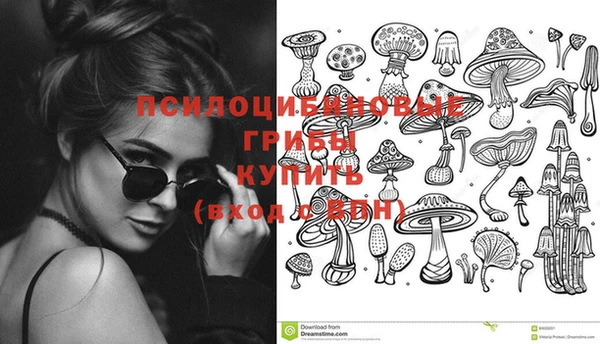 дмт Богородицк