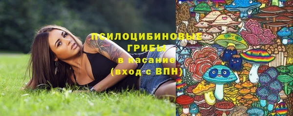 амф Богородск