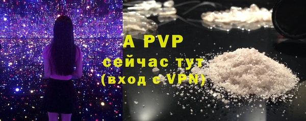 метадон Богданович