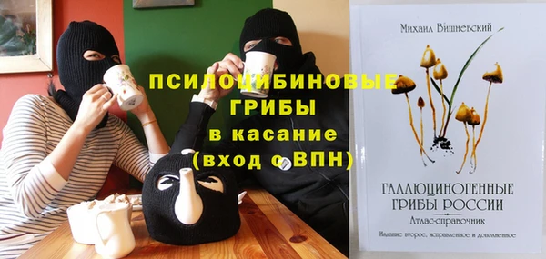 дмт Богородицк